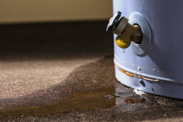 Professional Water damage restoration in Second Mesa, AZ
