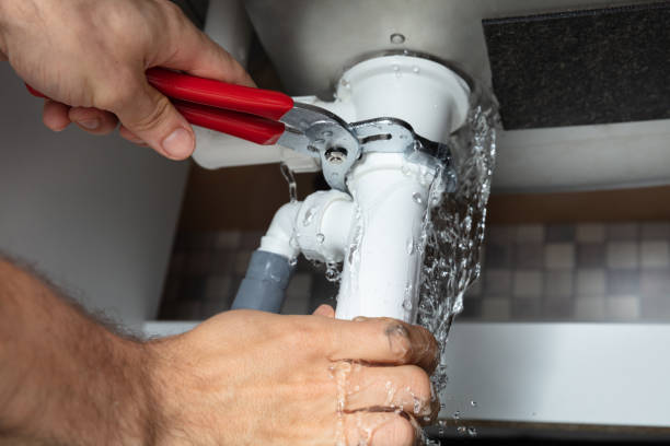 Best Flooded house restoration  in Second Mesa, AZ