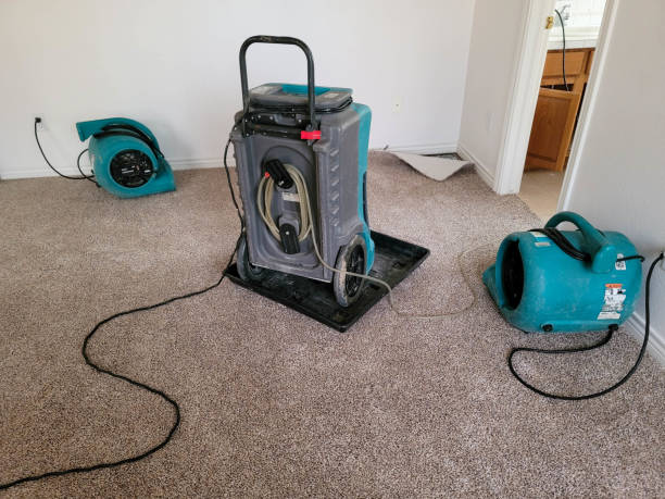 Best Flood restoration services  in Second Mesa, AZ