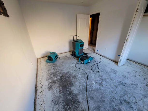 Best Water damage restoration experts  in Second Mesa, AZ