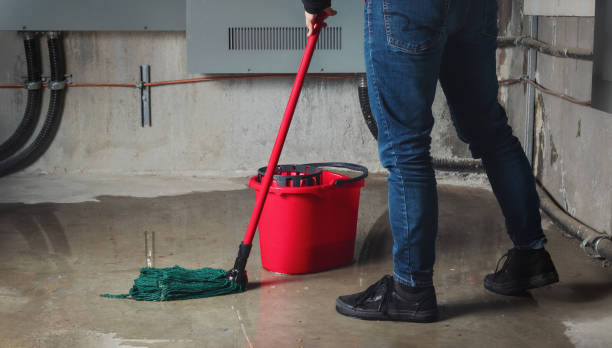 Best Emergency water damage restoration  in Second Mesa, AZ