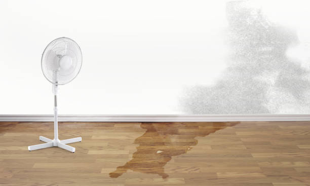 Best Fire Damage Restoration  in Second Mesa, AZ