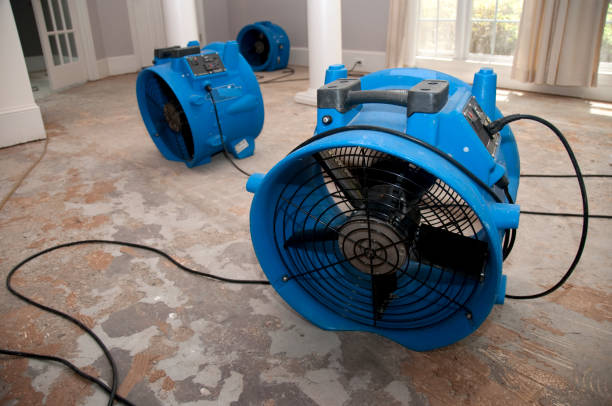 Best Fire Damage Restoration  in Second Mesa, AZ