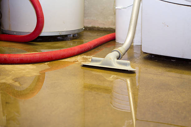 Water damage restoration mold remediation in Second Mesa, AZ