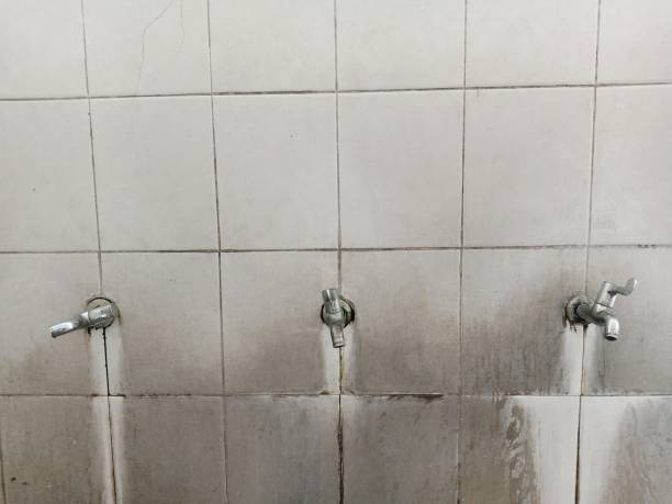 Best 24/7 water damage repair  in Second Mesa, AZ