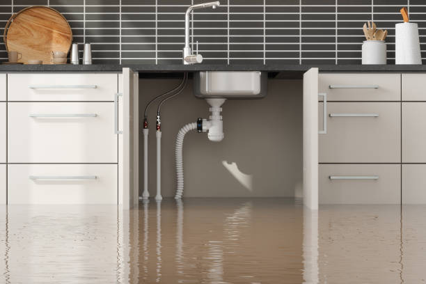 Best Ceiling water damage repair  in Second Mesa, AZ